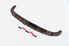 Foto von Eisenraspel (NHMW-PRAE-024445)